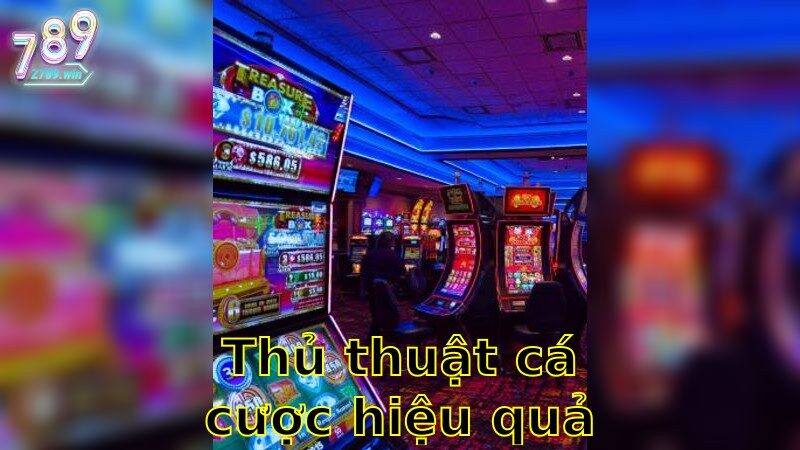 Thủ Thuật Cá Cược Hiệu Quả - Bí Quyết Tối Ưu Hóa Đặt Cược 2025